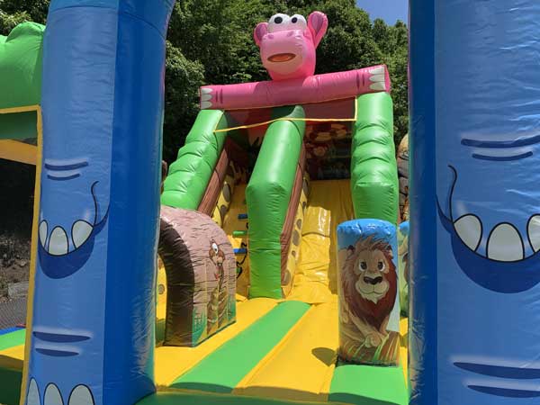 �A�j�}���X���C�_�[���{�[���v�[��