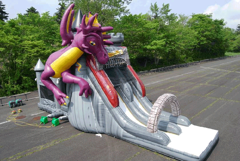 �h���S���^���[�X���C�_�[�R���{