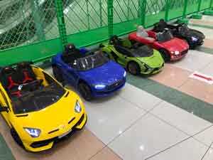 �n�C�N���X�o�b�e���[�J�[�i�q���p�d���J�[�j