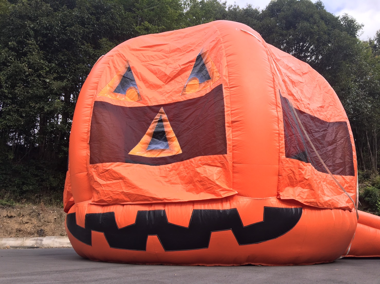 パンプキン バウンサー