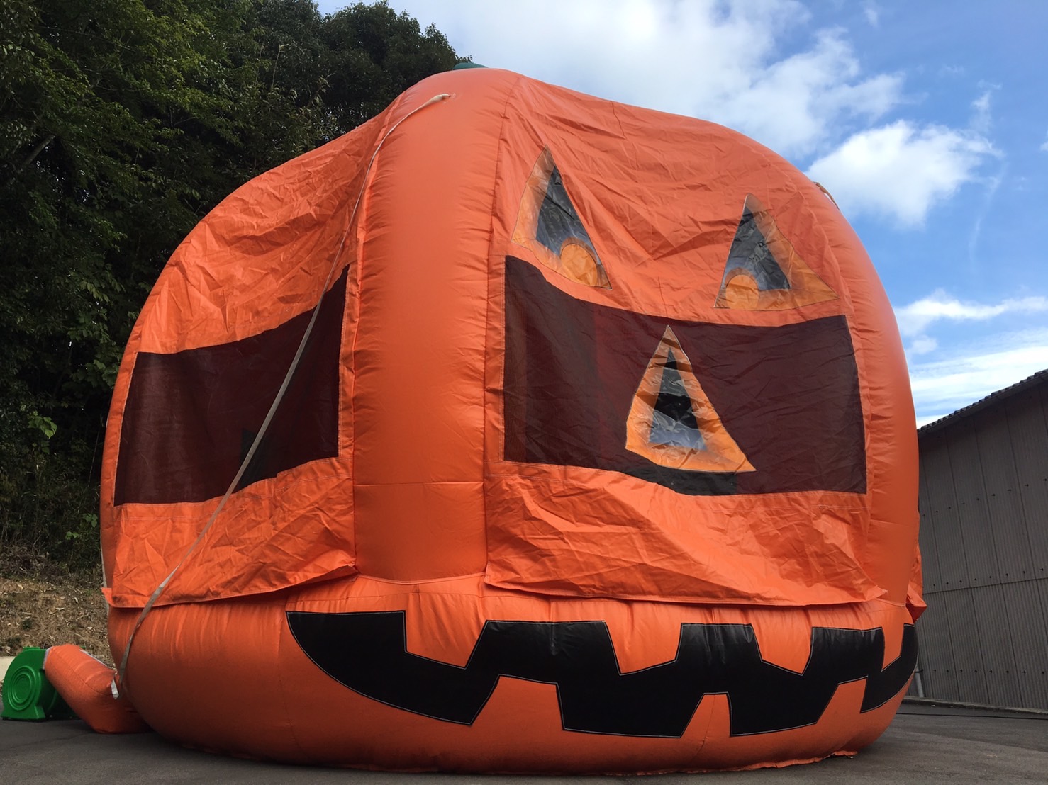 パンプキン バウンサー