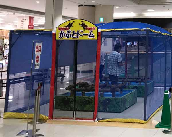 �ӂꂠ�������ف@�J�u�N���W