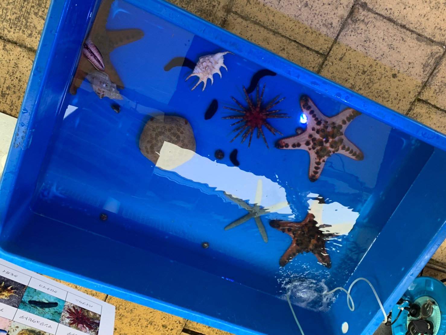 �ړ������� �ӂꂠ��������