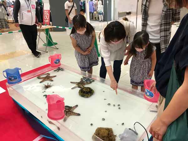 移動水族館 ふれあい水族館