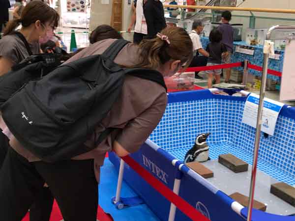 移動水族館 ふれあい水族館